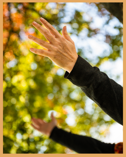 Voelconcert 4 mei 2024 - Wonderschoon