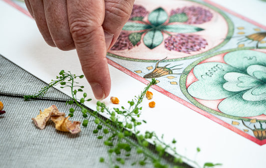 Print "To live in clover..."