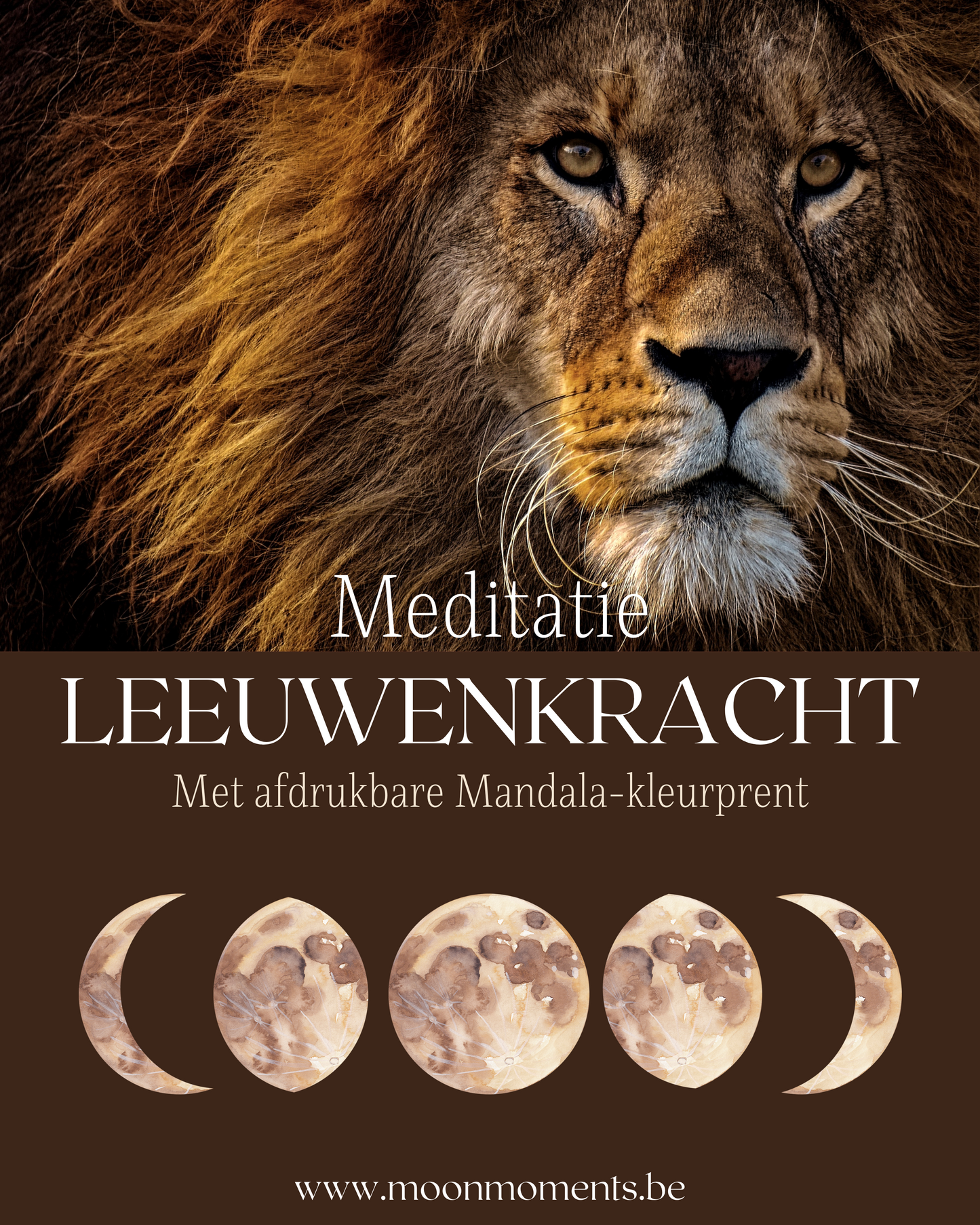 Meditatie Leeuwenkracht